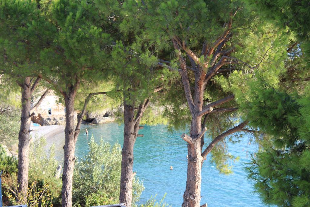 Avia Holiday Homes Oda fotoğraf