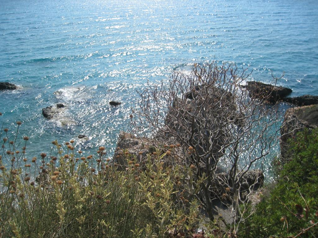Avia Holiday Homes Dış mekan fotoğraf