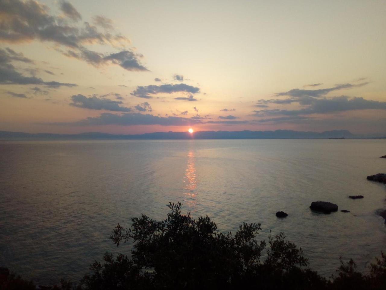 Avia Holiday Homes Dış mekan fotoğraf